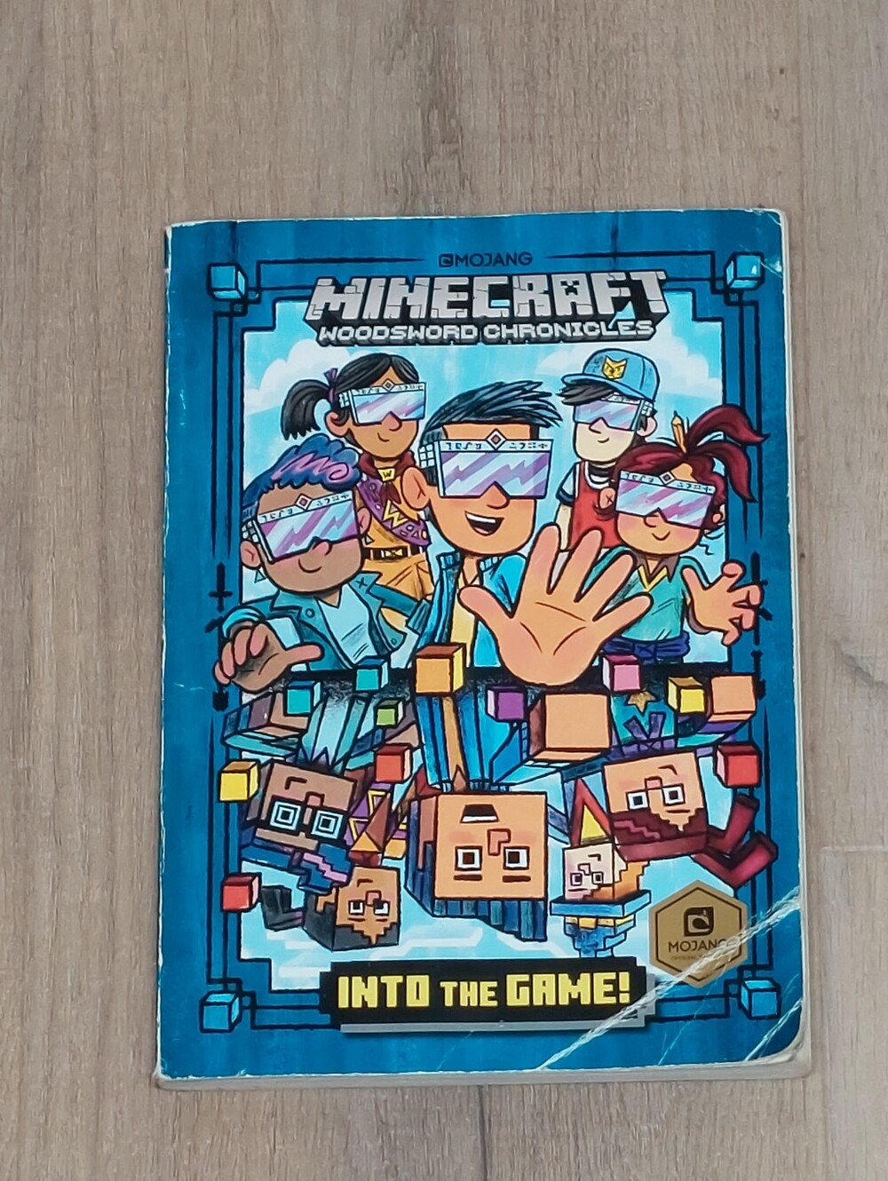 Into the Game! (Minecraft Woodsword Chronicles #1) Paperback.